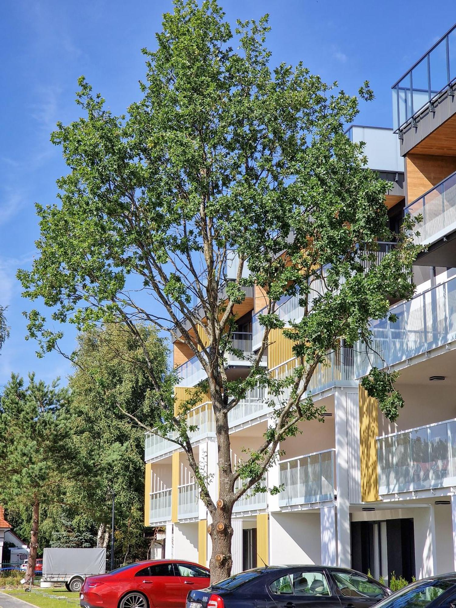 Posesja Apartamenty & Spa - Posesja Plazowa 4A II Grzybowo  Kültér fotó